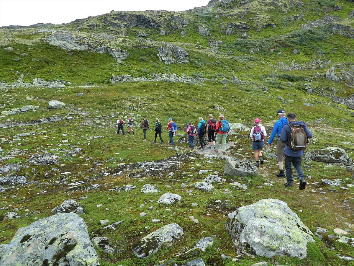 Tur Uppsete - Vatnahalsen, med zipline til Kårdal, august 2021
