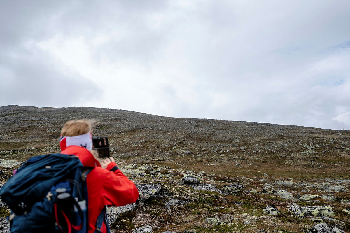 Vi holdt øye med moskusene - og motsatt - på trygg avstand.