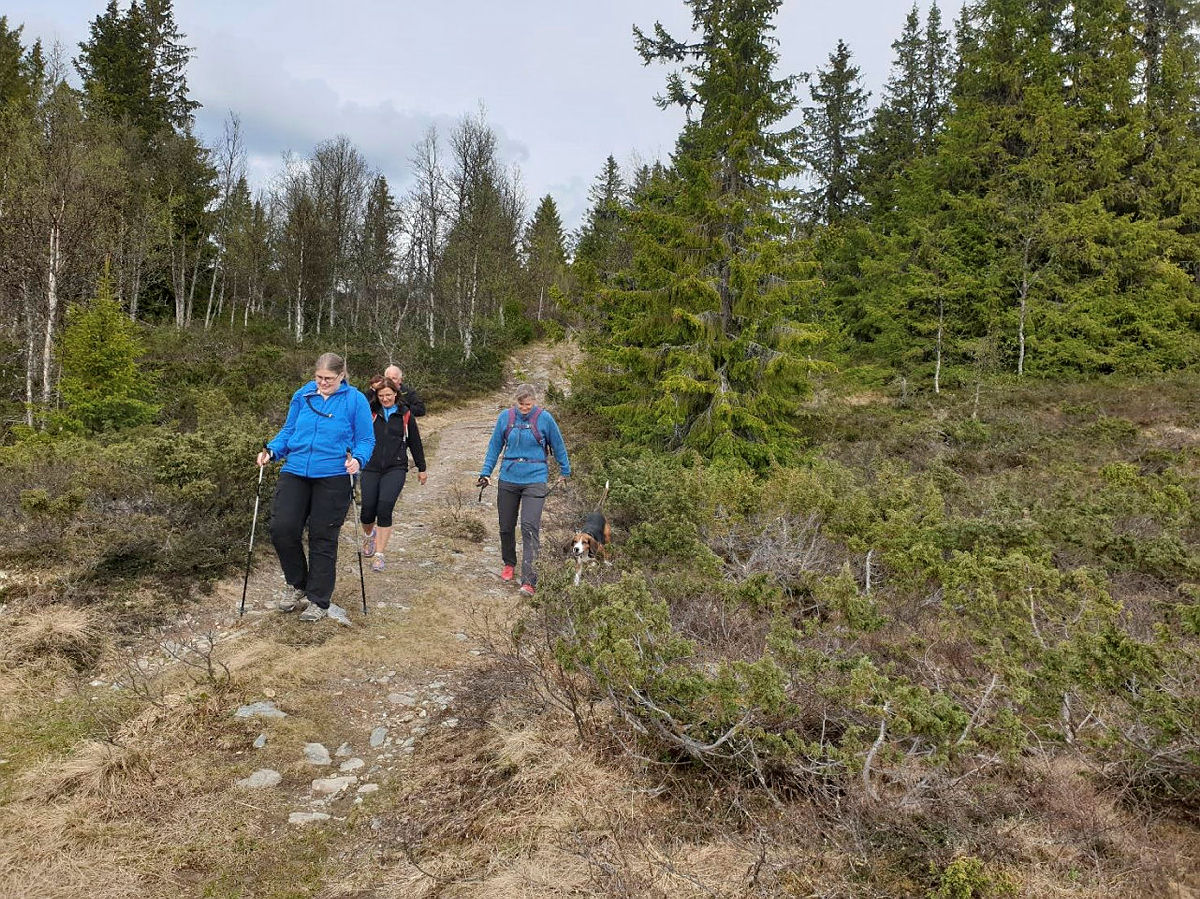 KVELDSTUR LANGS SKODALSÅA KULTURSTI