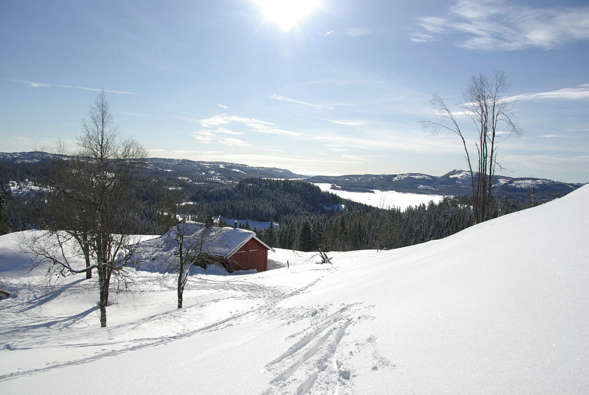 Vinter ved Solumhytta.