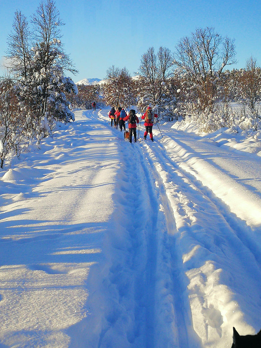 Flott skiføre.