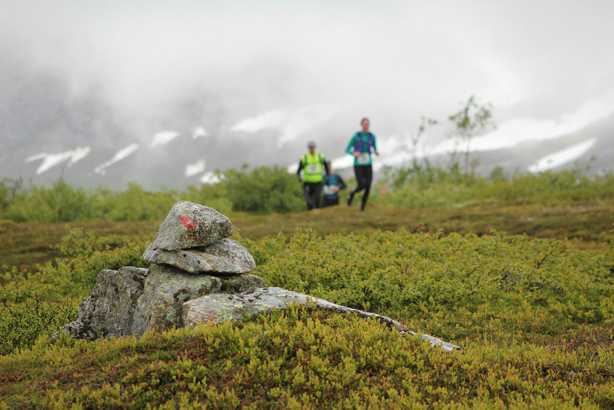 Fjellturløpet Børvasstindan Classic, 6. juli 2019