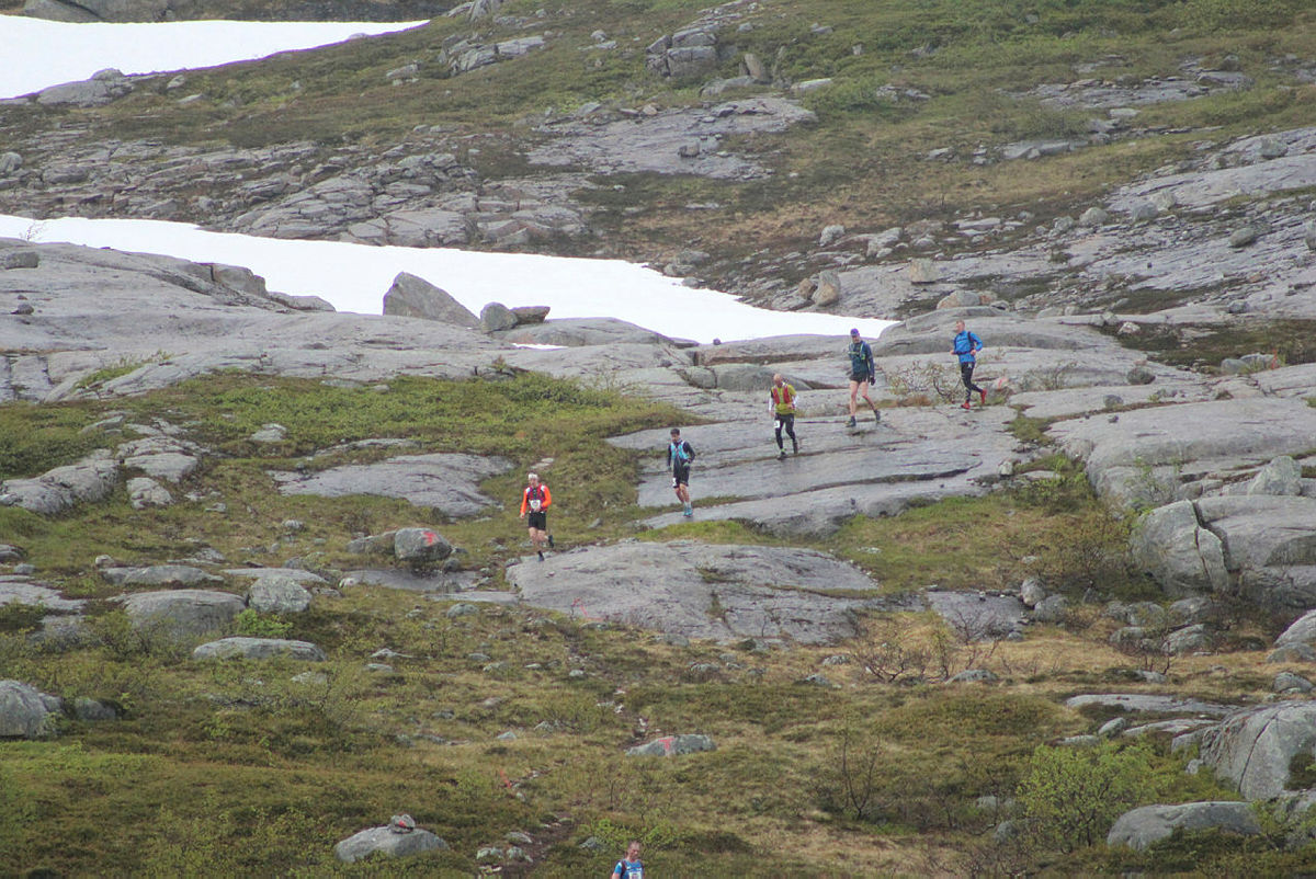 Fjellturløpet Børvasstindan Classic, 6. juli 2019