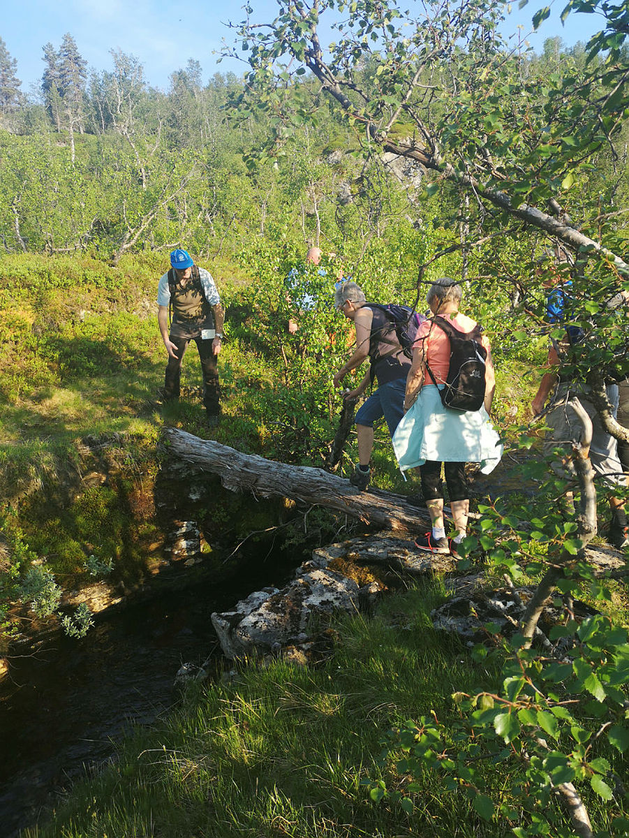 Kveldstur frå Skjerveggen