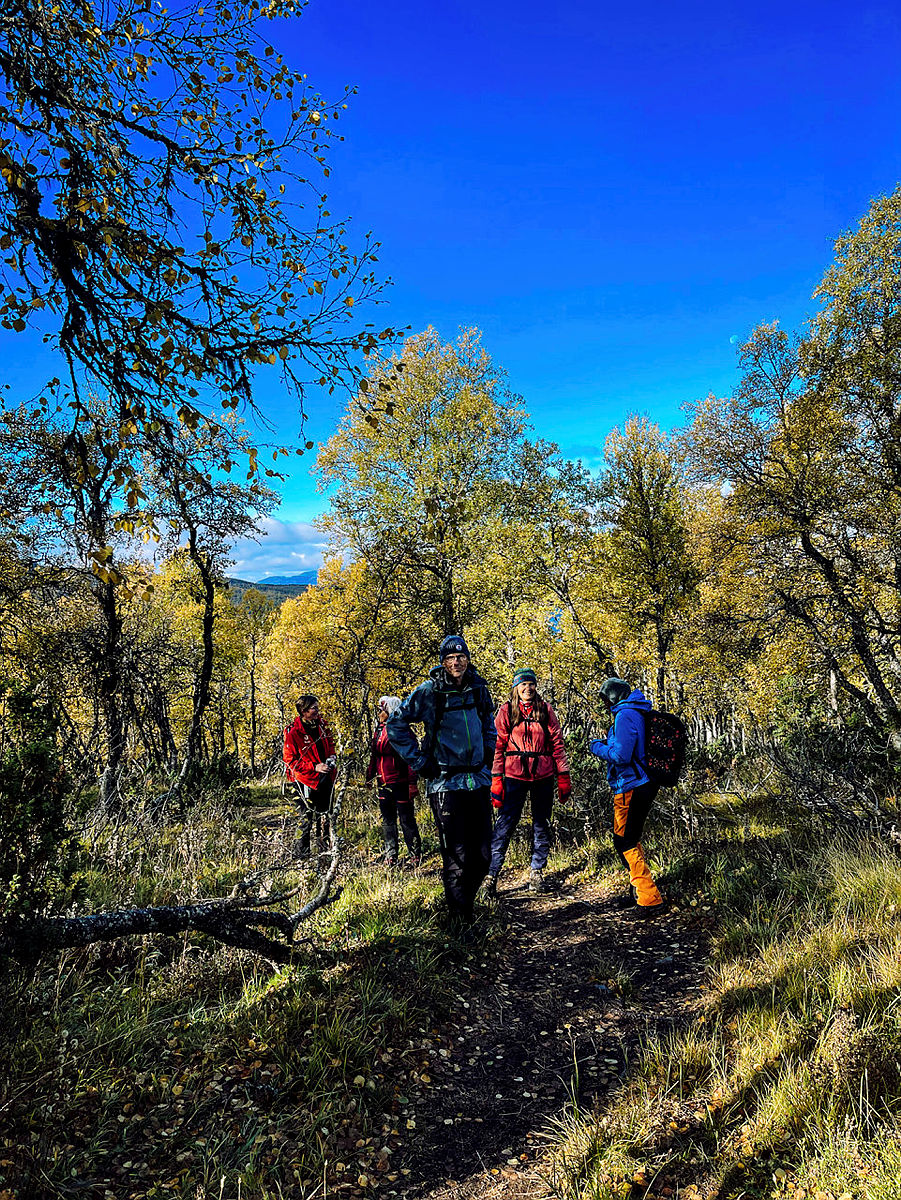 DNT-tur til Bossnuten september 2021 med Notodden Turlag.
