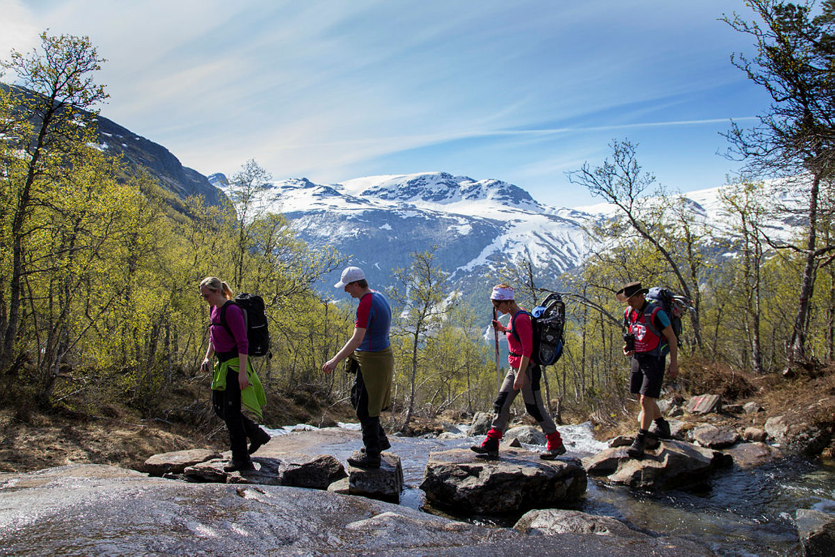 Fellestur fra Skjeggedal til Trolltunga.