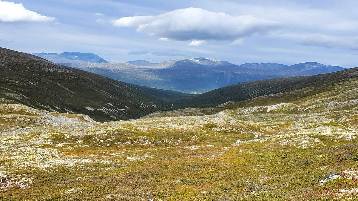 Mot Grøndalen og Lesjaskog.