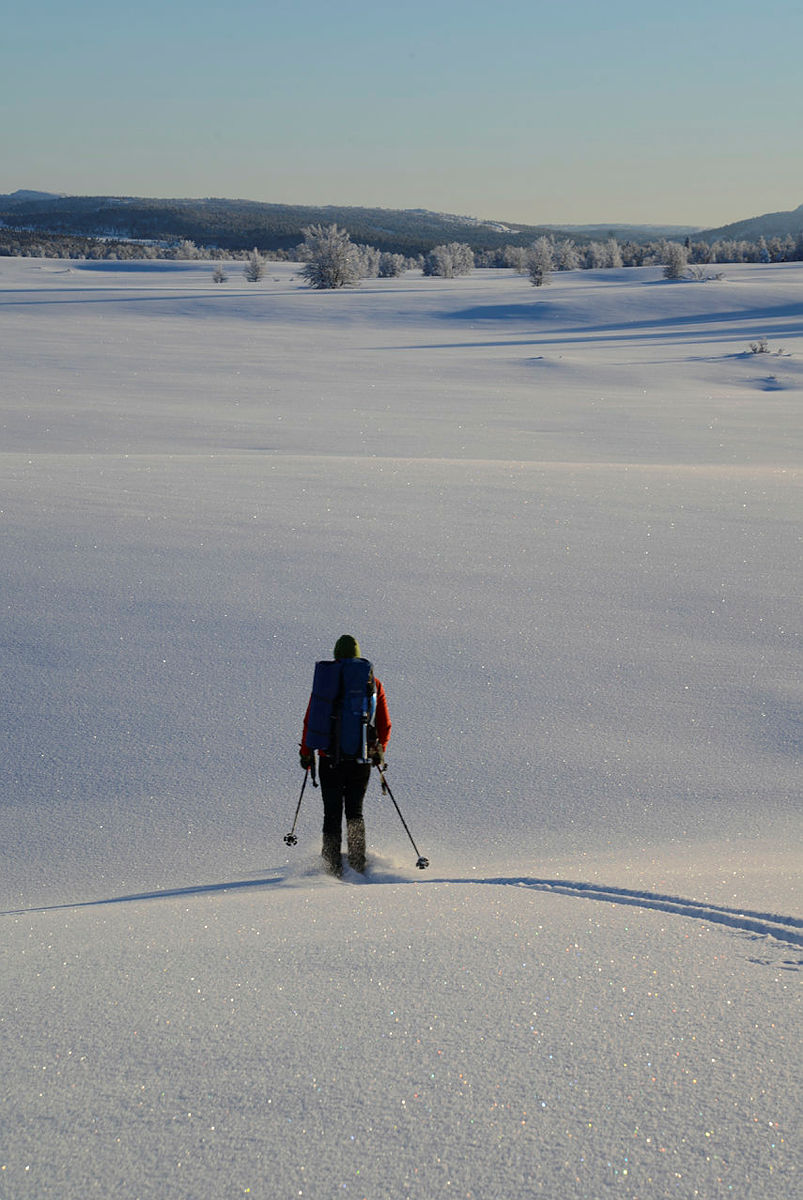 Drømmen om vinterfjellet slik det kan arte seg i høydedragene ved Vetåbu i Ringebu.