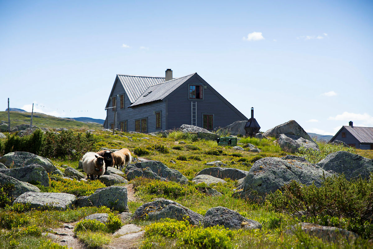 HADLASKAR: Hytta til Bergen og Hordaland Turlag er et viktig knutepunkt i rutenettet på Hardangervidda.
