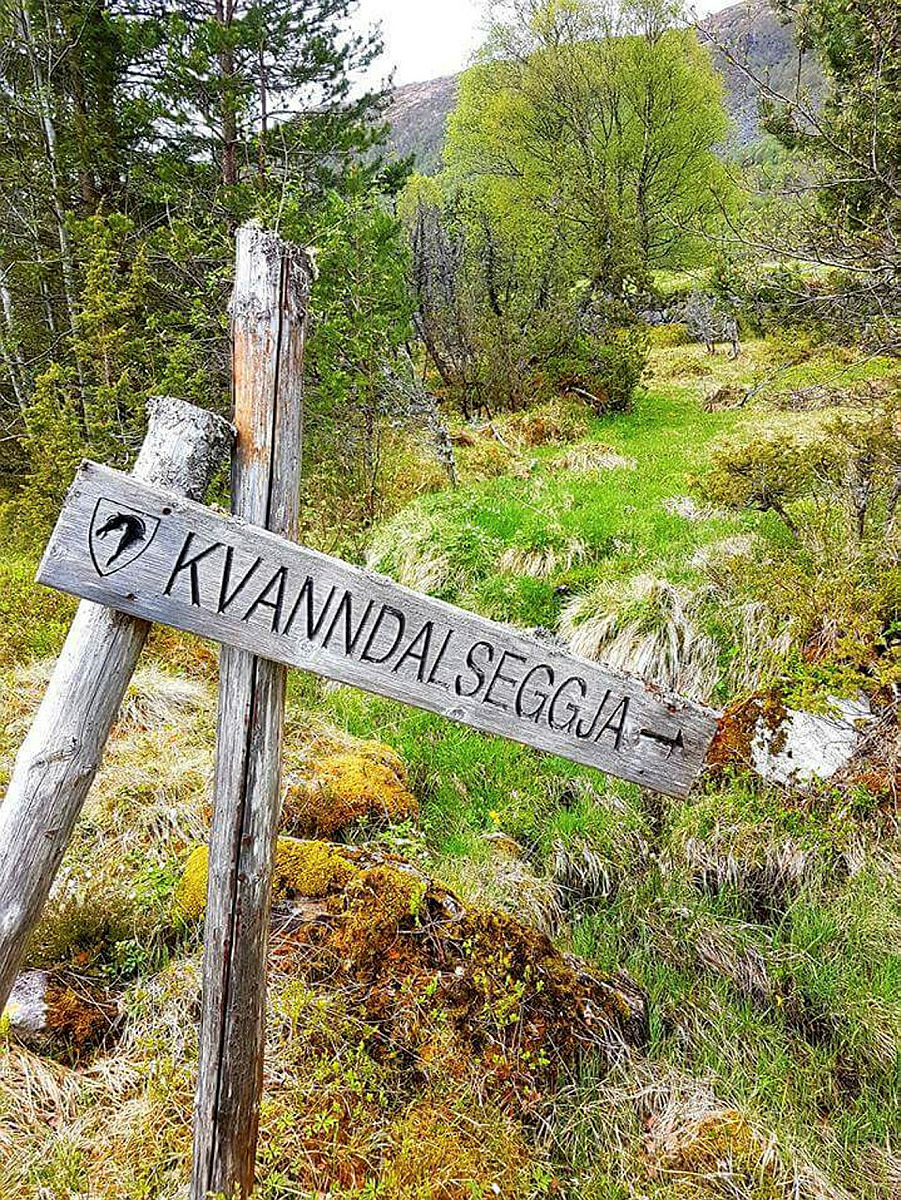 Kvanndalseggja