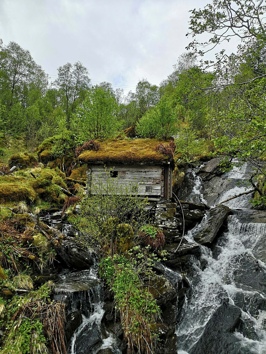 Tur til Kvamefjellet