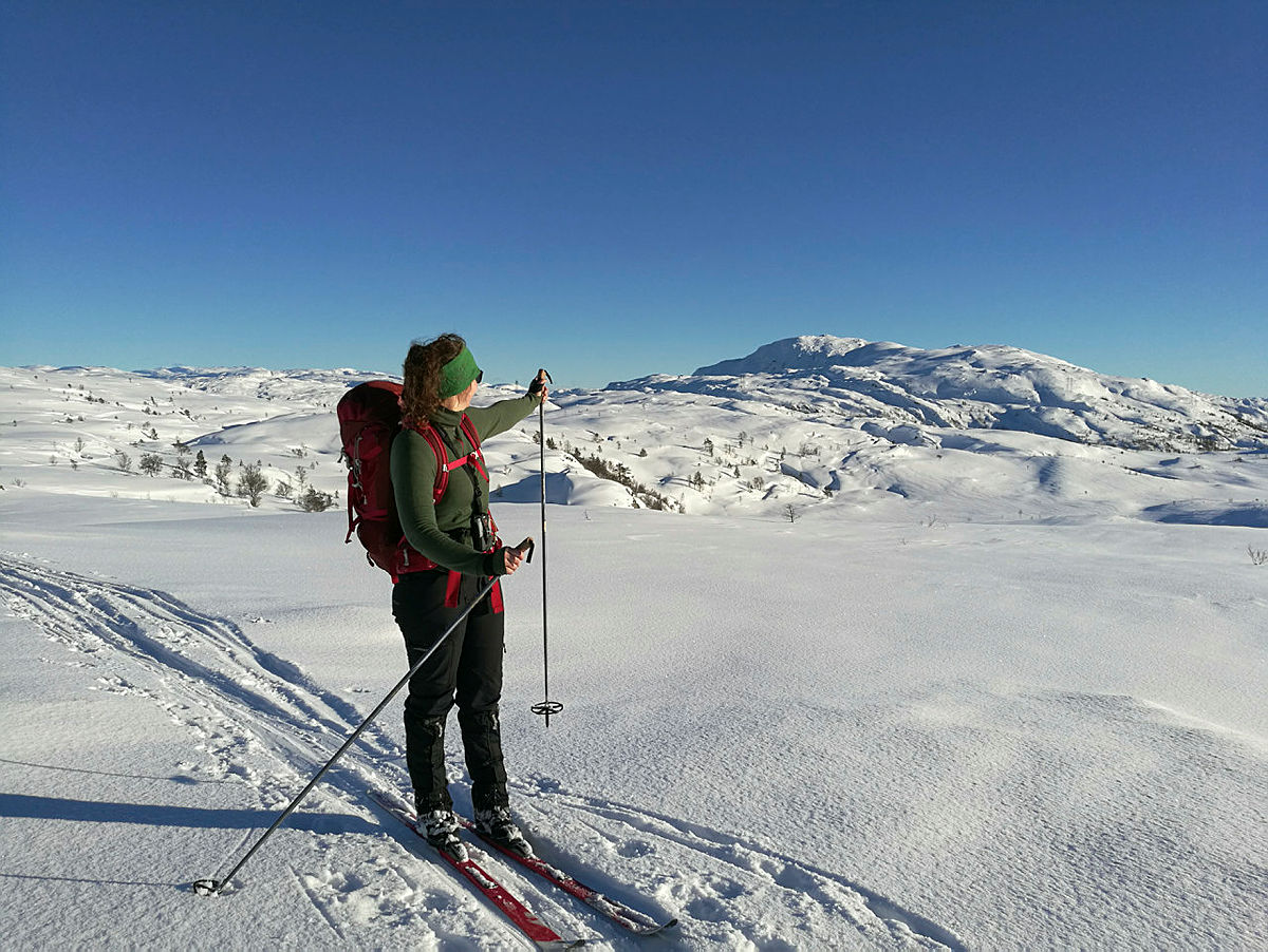 Fjellskitur til Brøknipa. På vei tilbake til Njåstad.