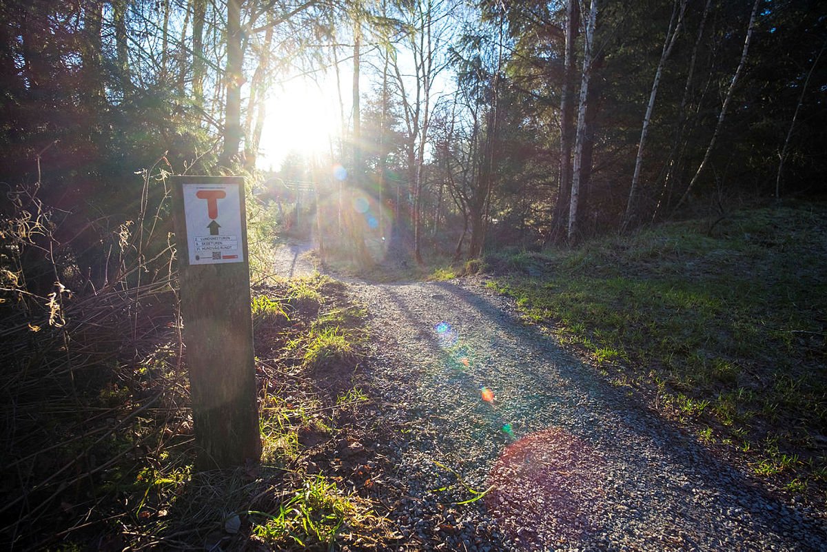 Turveier i stavanger