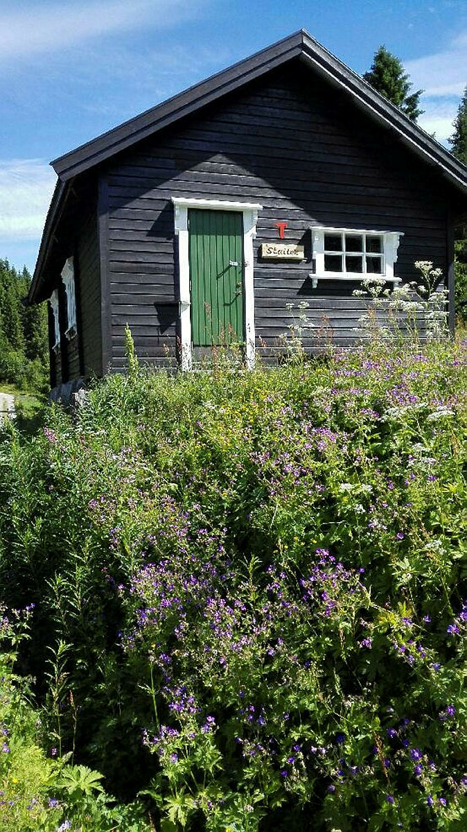 Stallen på Sommerseter