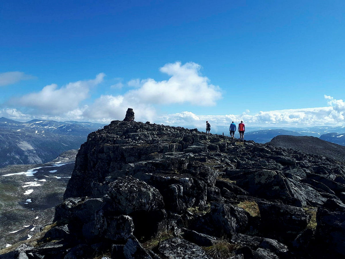Toppvarden.