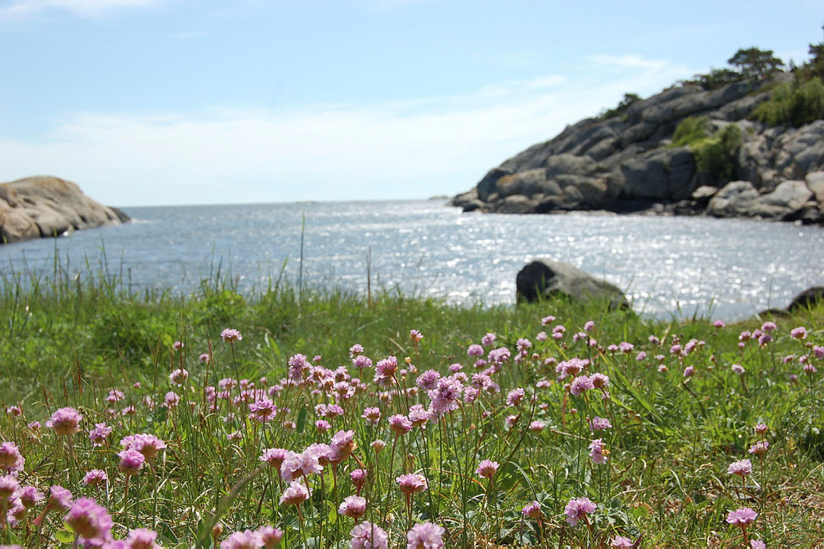 Fra kyststien på Østerøya