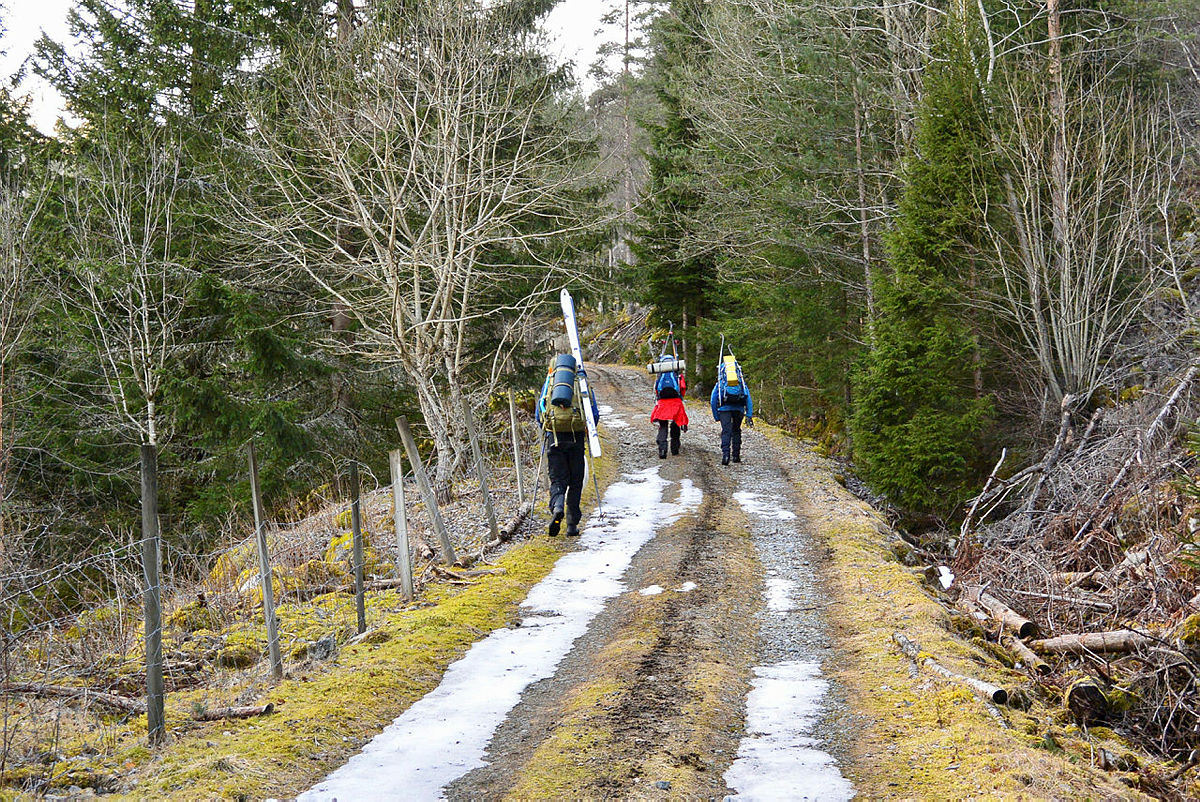 Ansatt-tur fra Bleskestad til Haukeliseter 8.-11. mars 2019. Her fra starten av turen ved Belskestad hvor skiene måtte bæres et godt stykke før en nådde snøen, og kunne gå videre på ski til Bleskestadmoen.