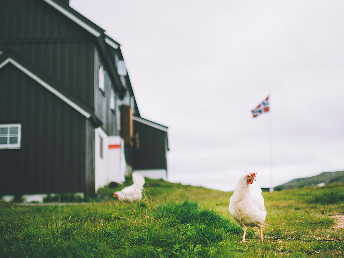 Bilder tatt på turen Klassikeren i Aurlandsdalen. Tredagerstur med start på Finse. Går innom Geiterygghytta, videre til Aurlandsdalen Turisthytte Østerbø før den går ned i Vassbygdi.