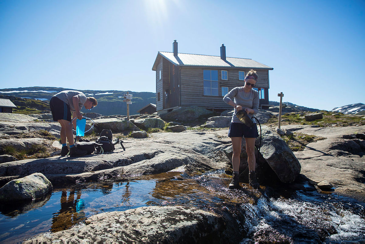 Gullhorgabu i Bergsdalen.