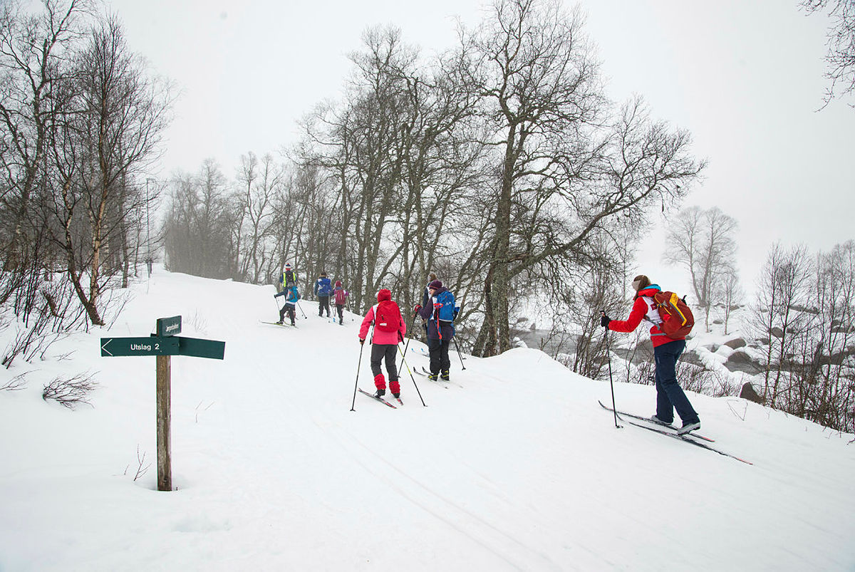 Skiskolen