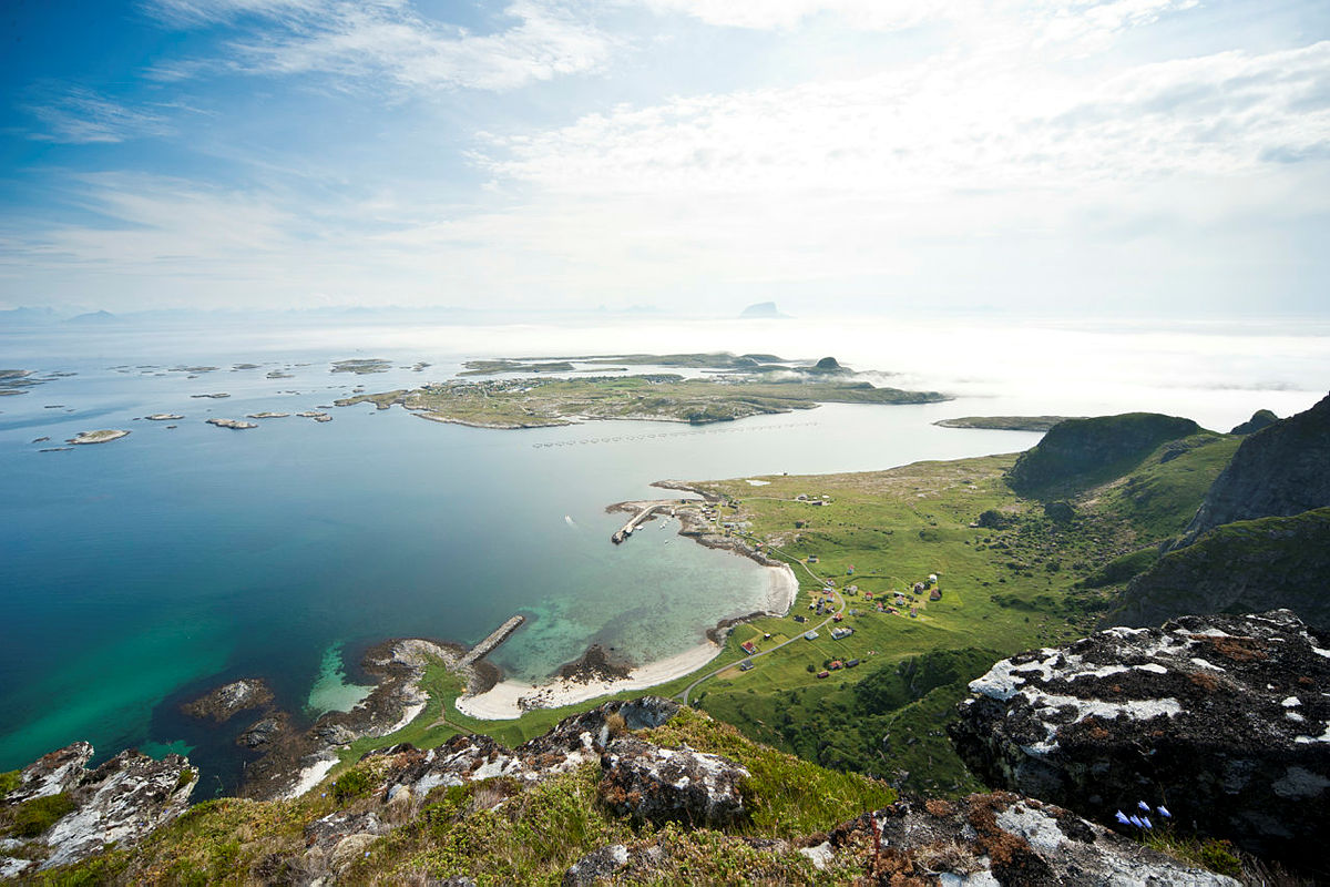 Trænstaven en julidag.