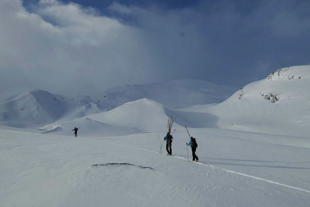 Kcisting Småbrekke - Gullhorgabu, 19. februar 2020 Kvistesjef: Per Småbrekke