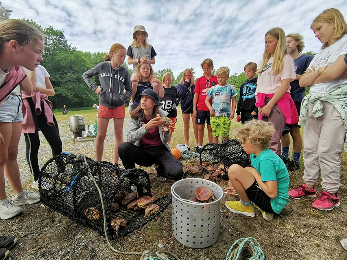 Friluftsskole 10-13 år i Skråvika i Larvik 05.-08.07.2021. Setting av krabbeteiner og krabber til lunsj.