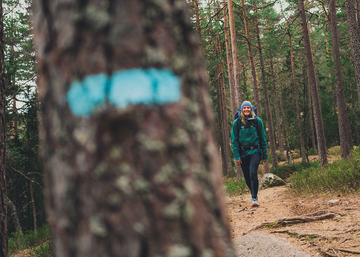 Takket være alle som er medlem i DNT Oslo og Omegn kan du gå trygt på blåmerkete stier i Marka.