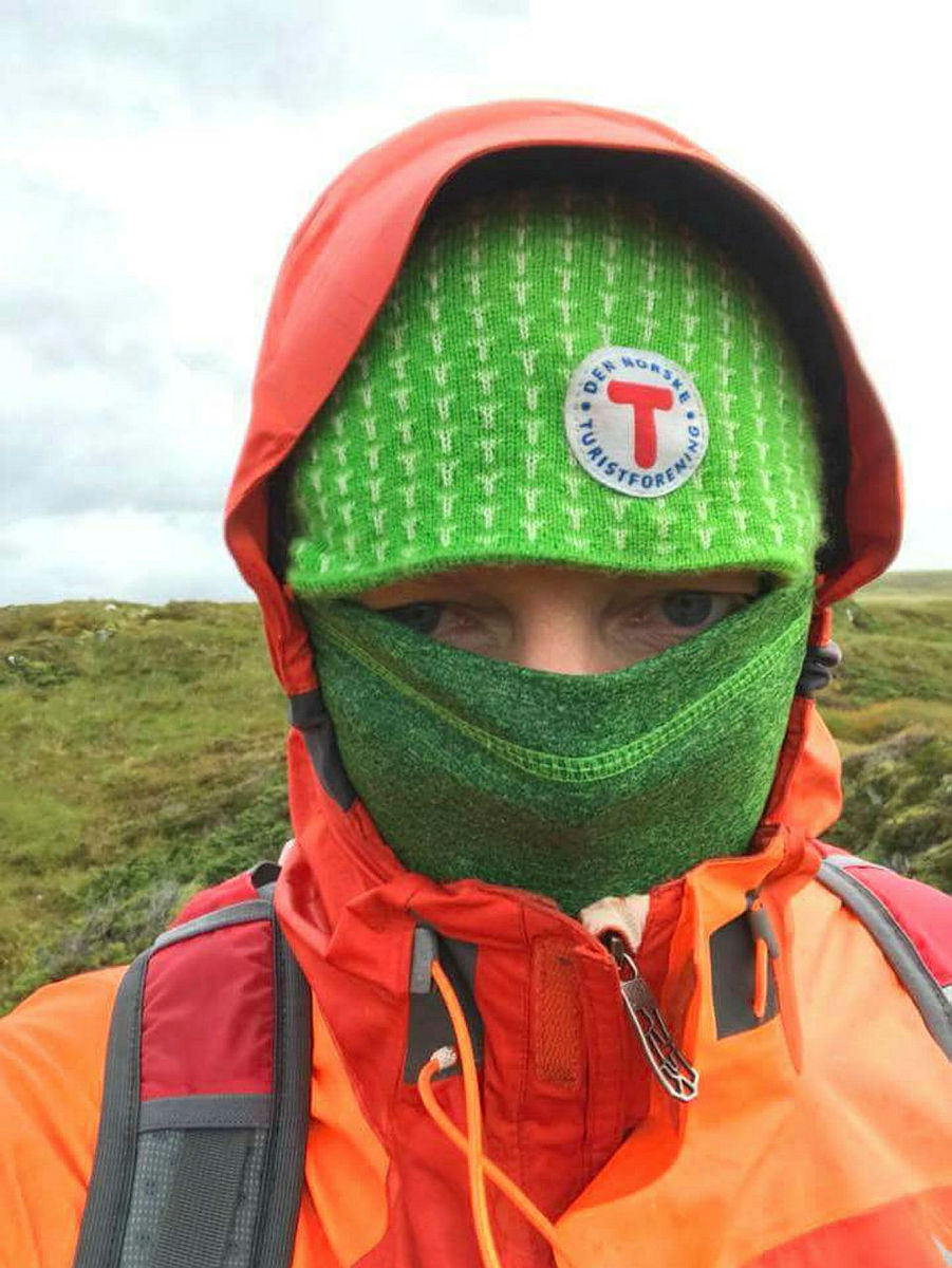 Mosekleivhornet