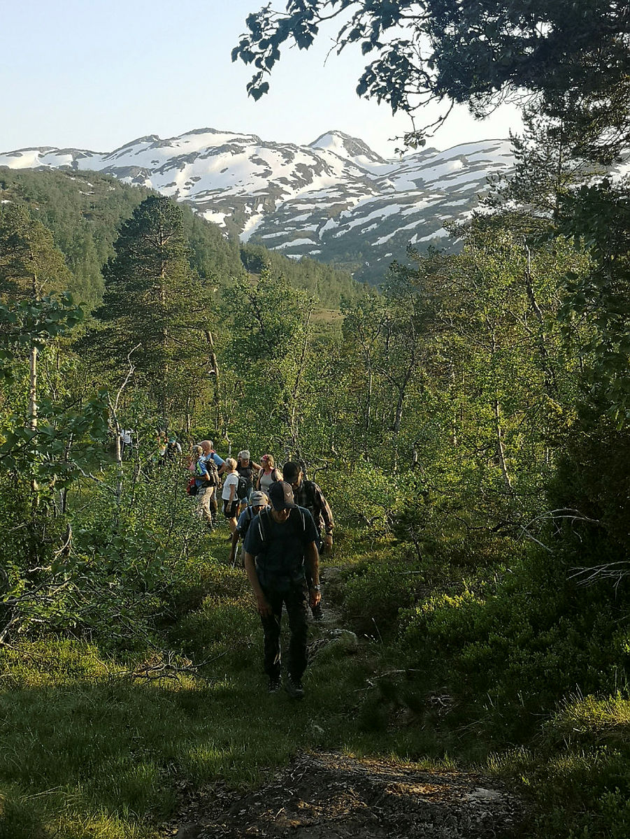 SKJERVEGGEN - SELSET - TRÆNSTØLEN