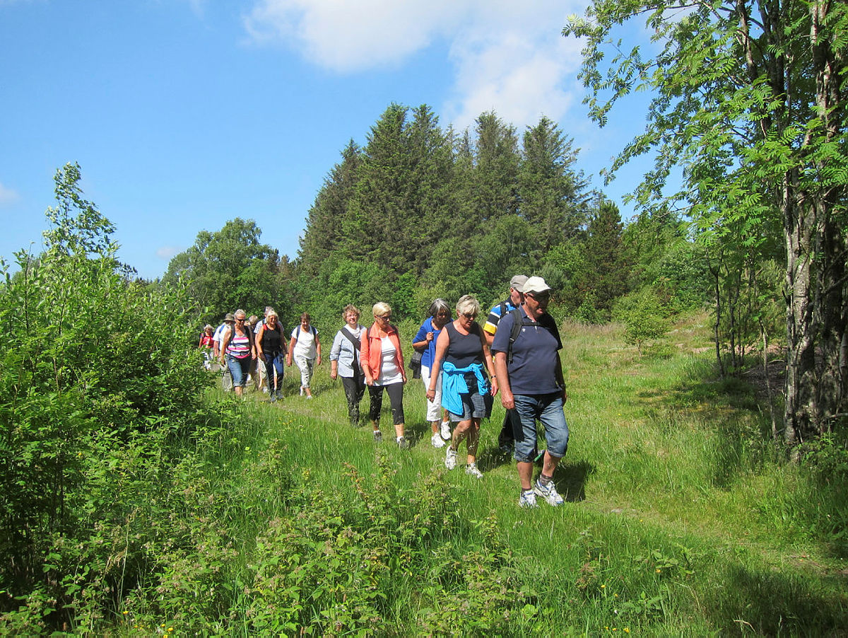 TA EN TUR MED TURISTFORENINGEN mens vi venter på sommeren!