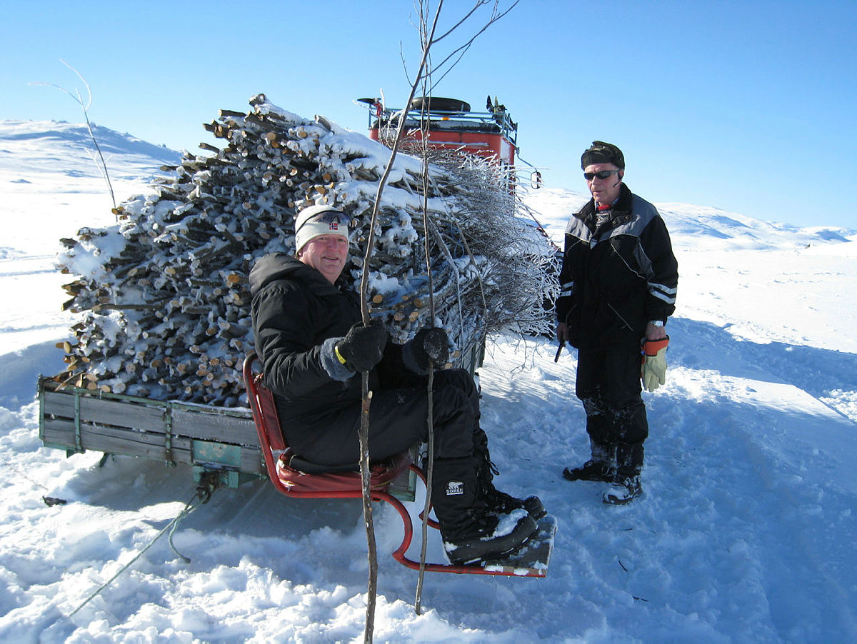 Vintermerking med kvister, rutenettverket i Skarvheimen.