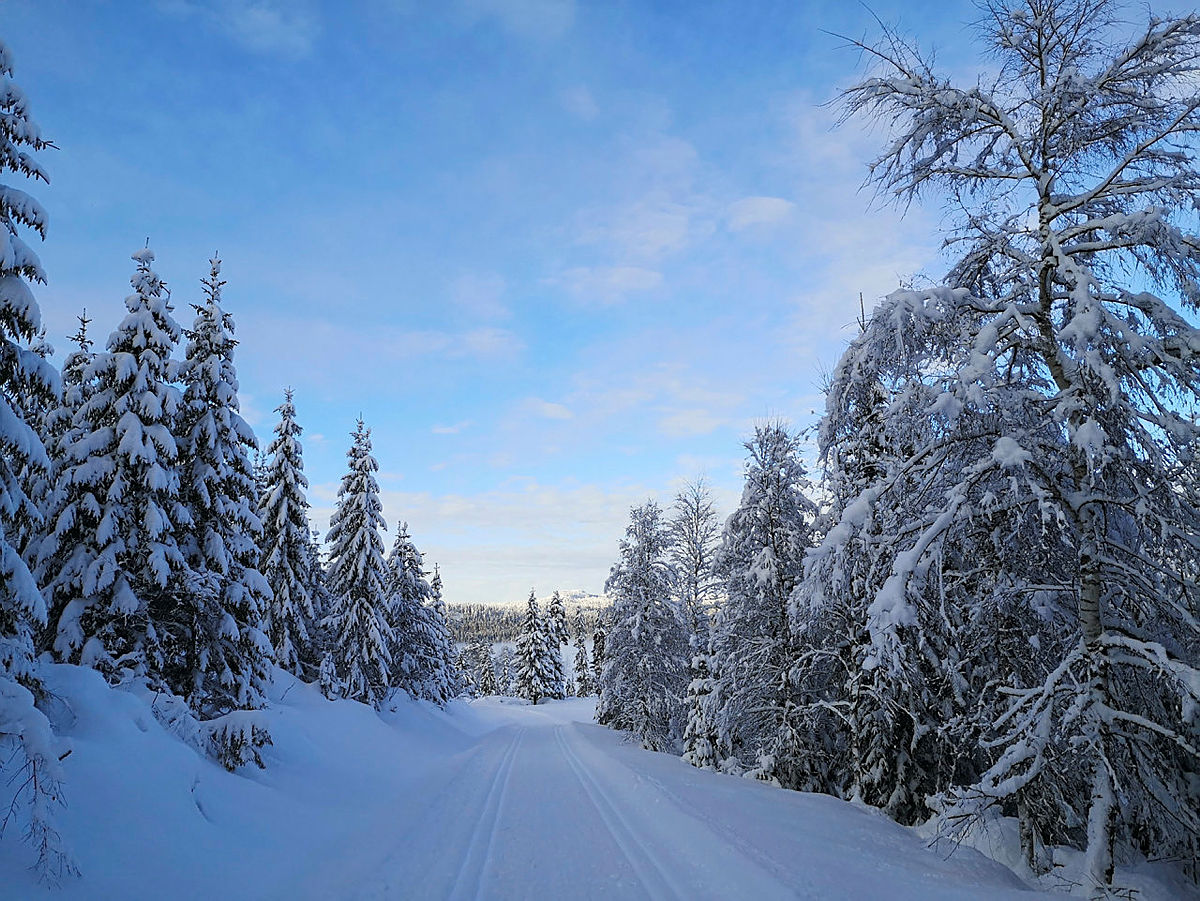 Flotte løyper rett utenfor hyttedøra.