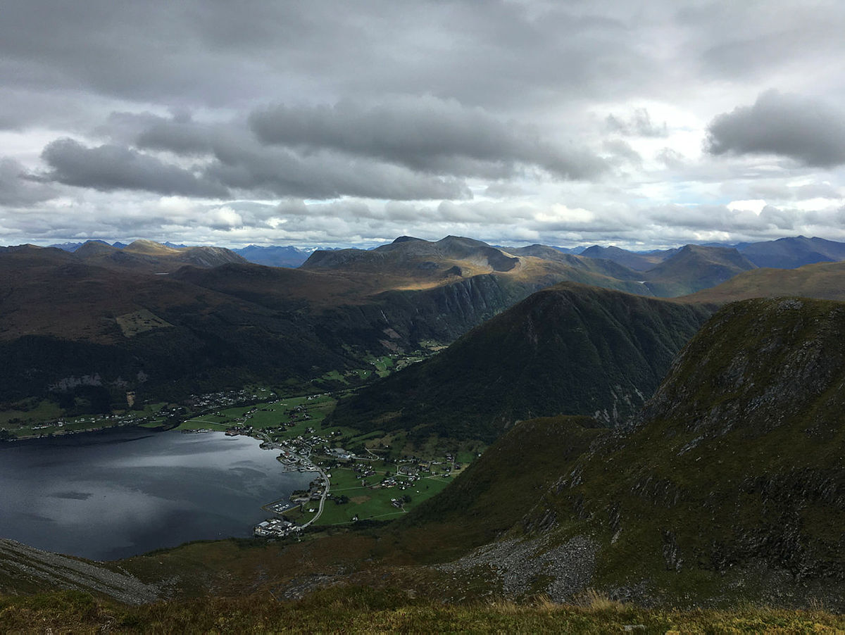 Blåfelden
