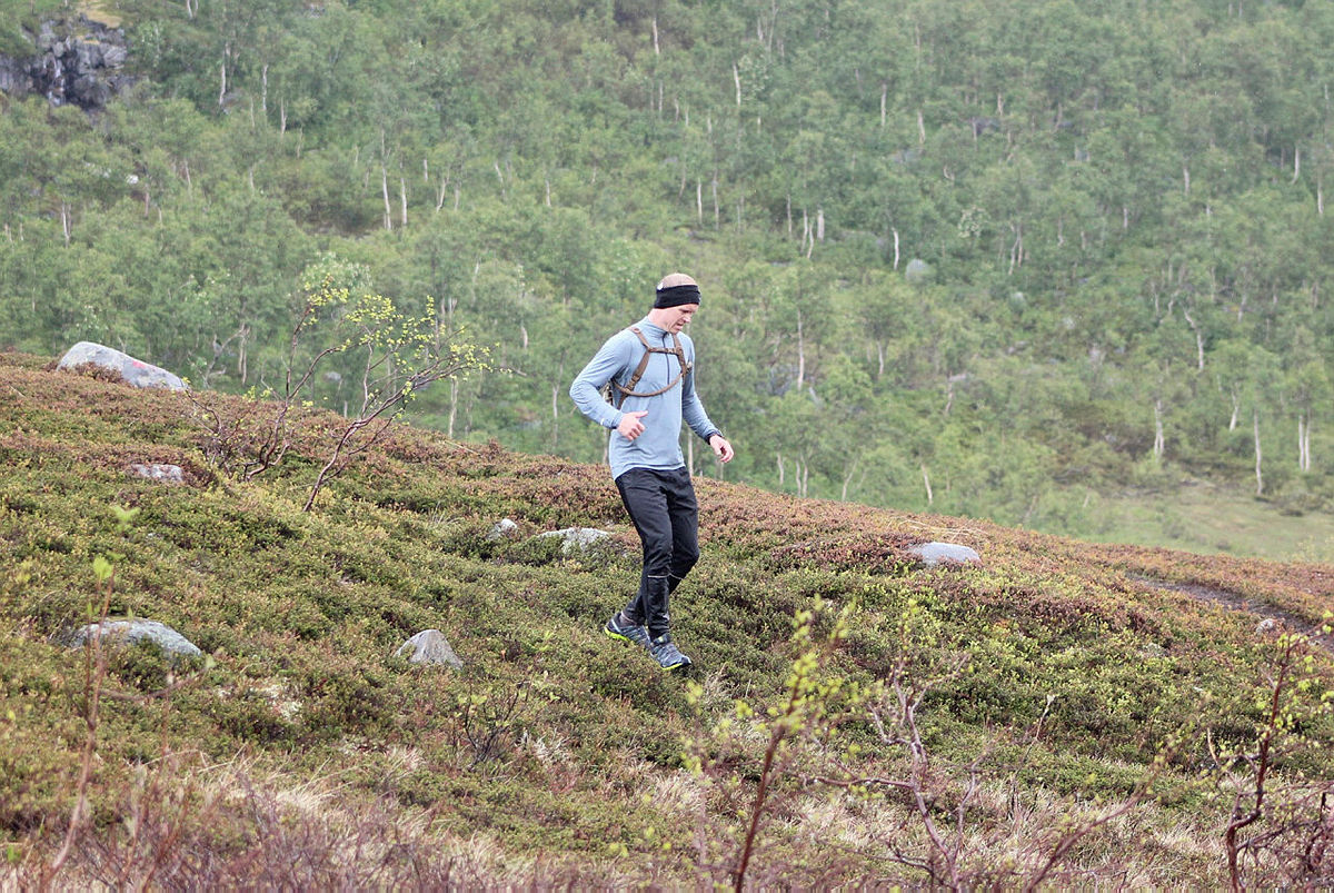 Fjellturløpet Børvasstindan Classic, 6. juli 2019