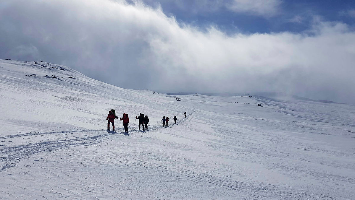 Aktivitet i vinterfjell