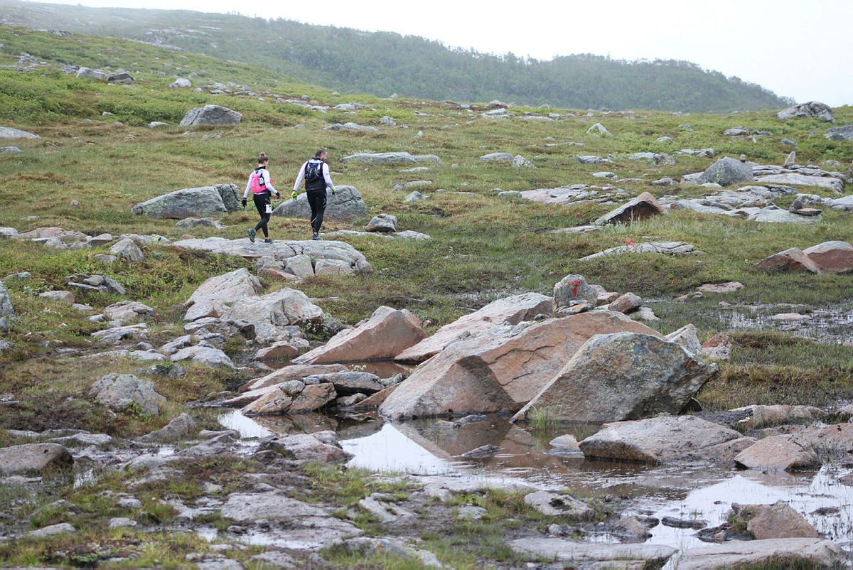 Fjellturløpet Børvasstindan Classic, 6. juli 2019