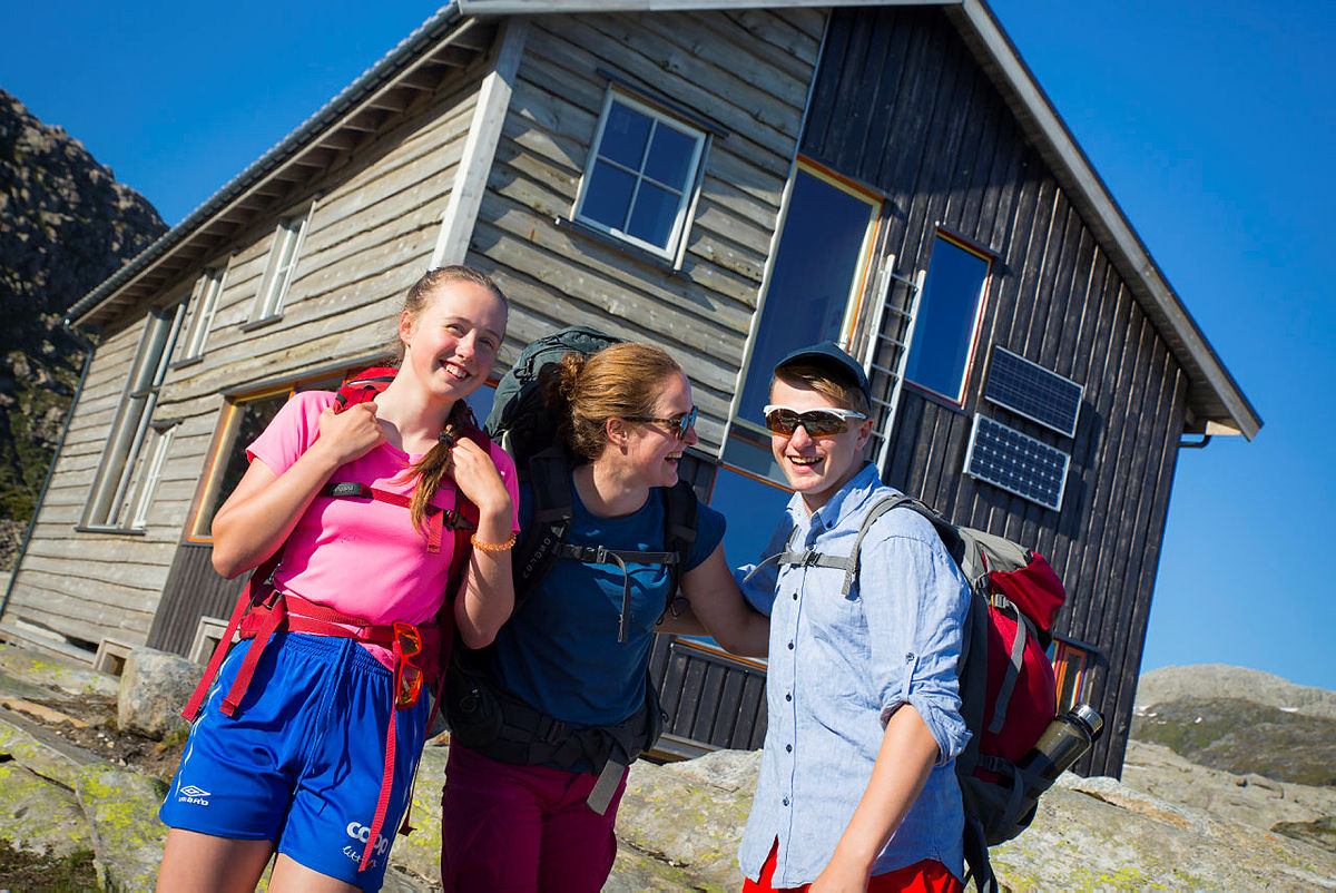 Gullhorgabu i Bergsdalen, juli 2018.