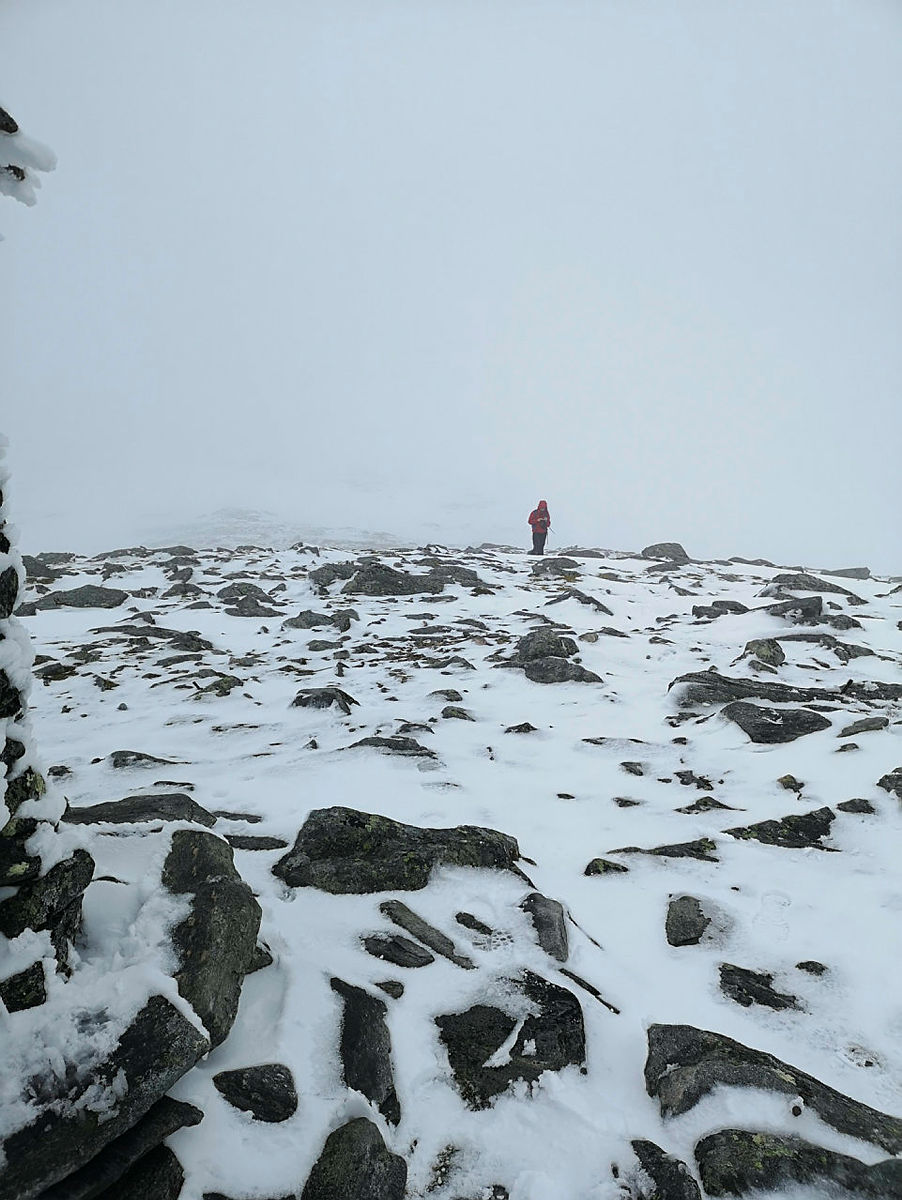 Tur til Kvamefjellet