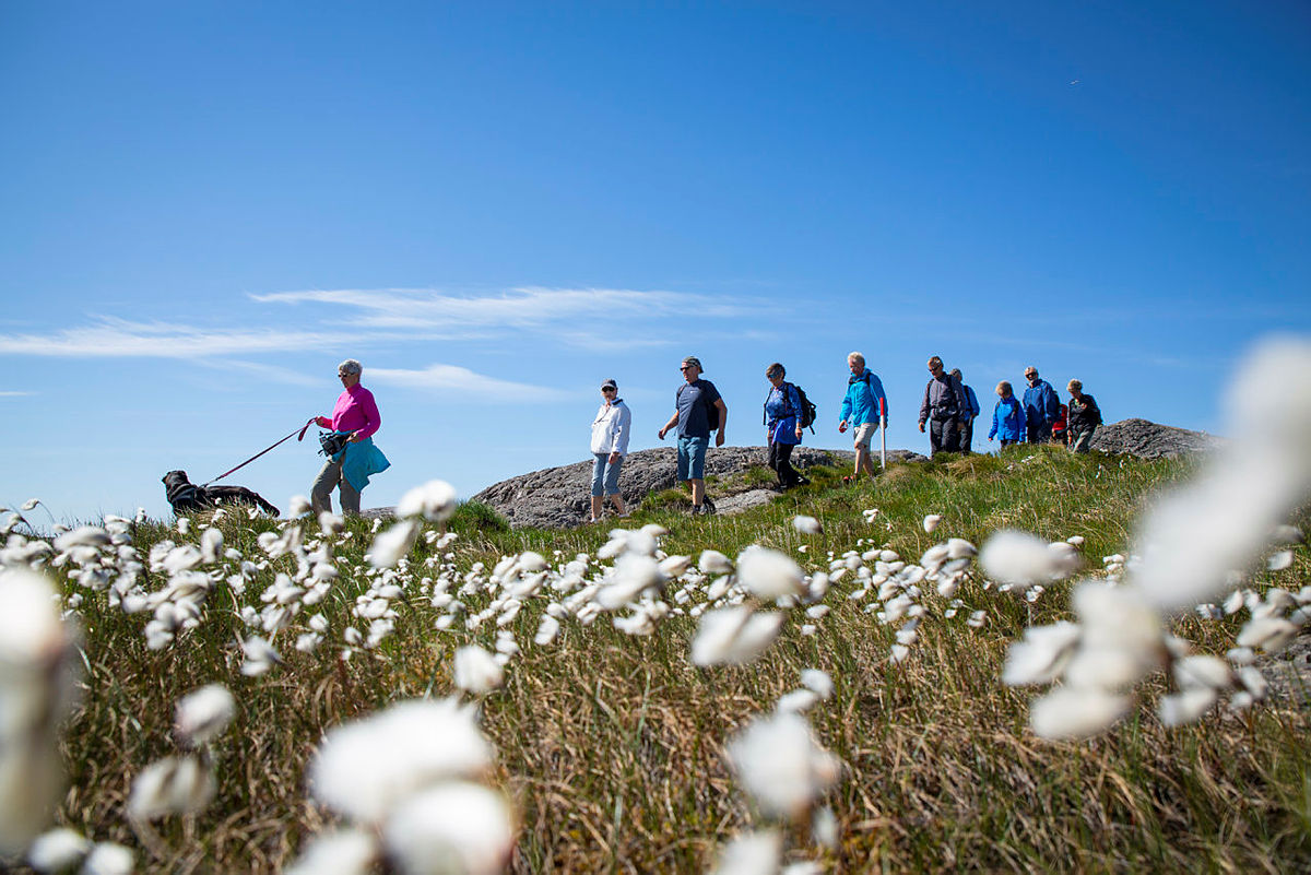 Fjell seniorgruppe på tur til Vardafjell og Russerstigen, juni 2016.