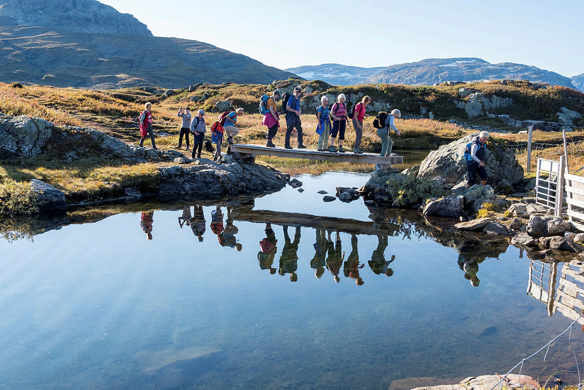 Høsten kommer med fine farger i fjellet.