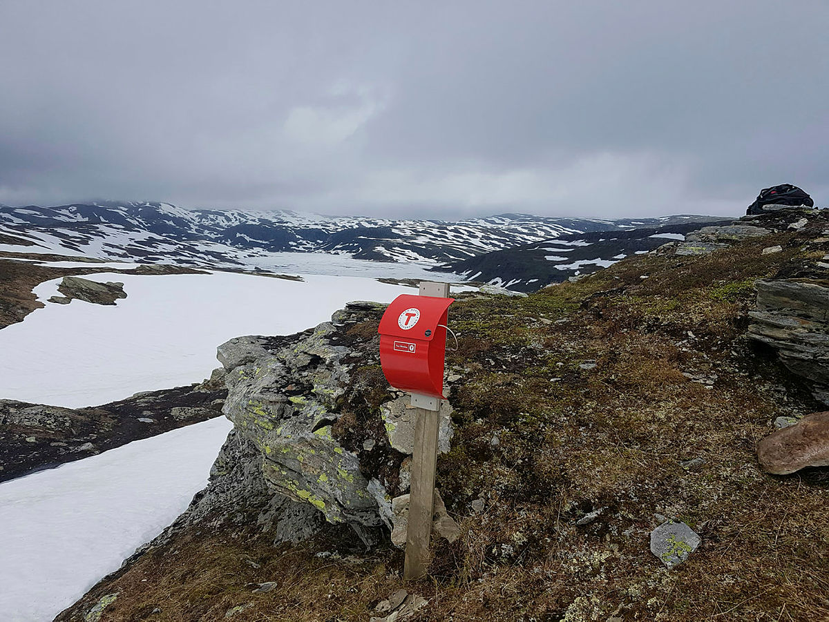 Stølsturkassane er ute på Vola.