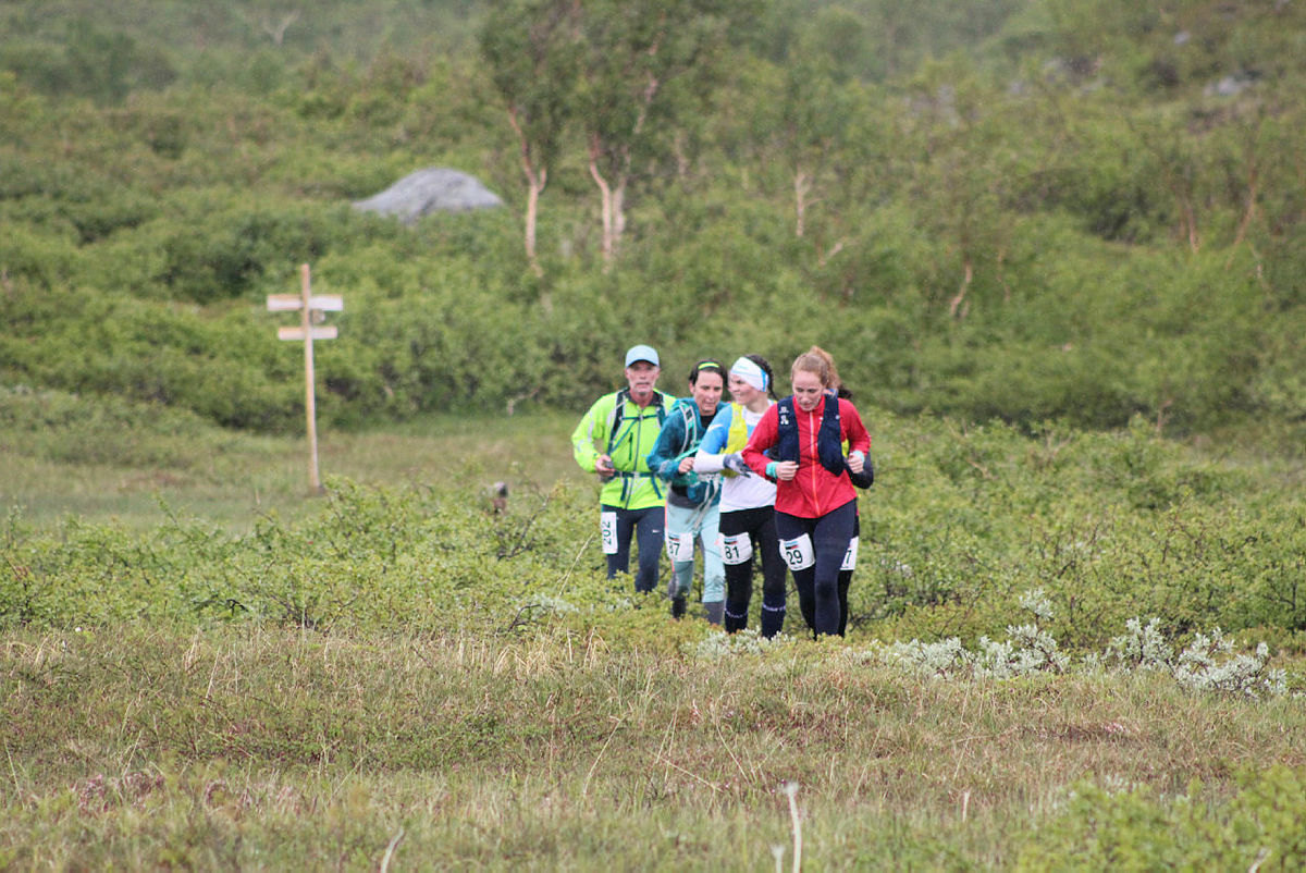 Fjellturløpet Børvasstindan Classic, 6. juli 2019