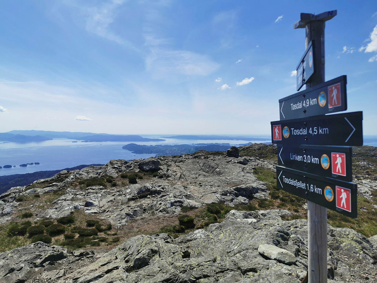 Møsnuken via Linken, og ned til Tøsdalsvegen
