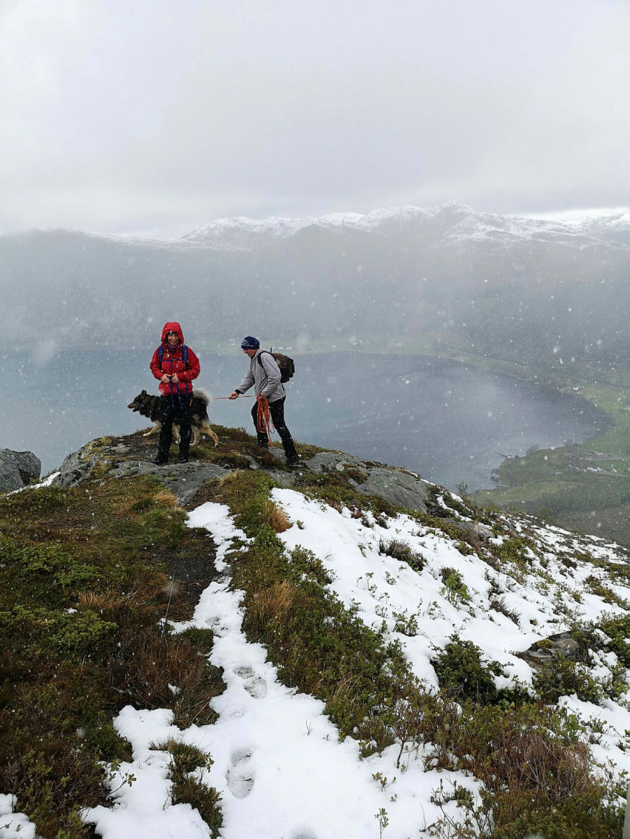 Tur til Kvamefjellet
