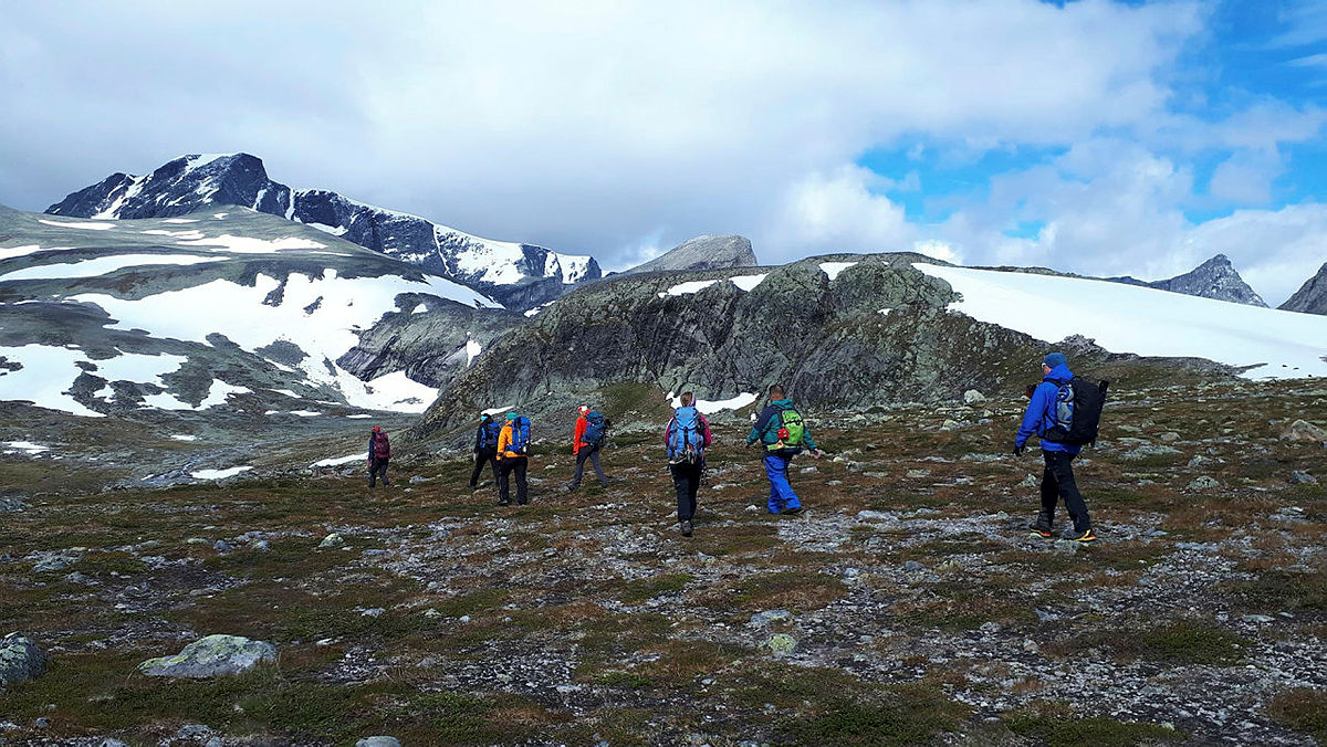 Fin utsikt til Svånåtind, Langvasstind og Larstind inn i Svånådalen. De tre moskusene hviler på snøfonna til høyre i bildet.