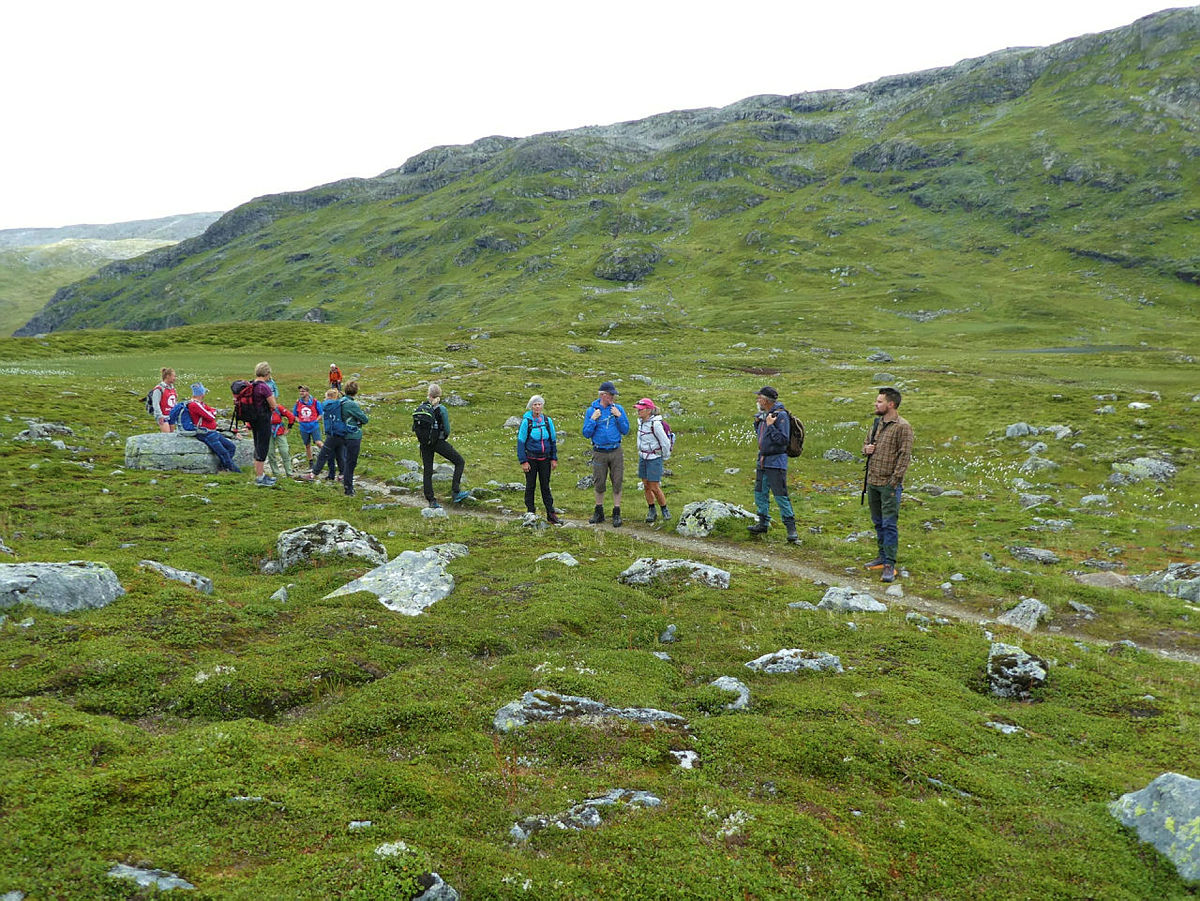 Tur Uppsete - Vatnahalsen, med zipline til Kårdal, august 2021