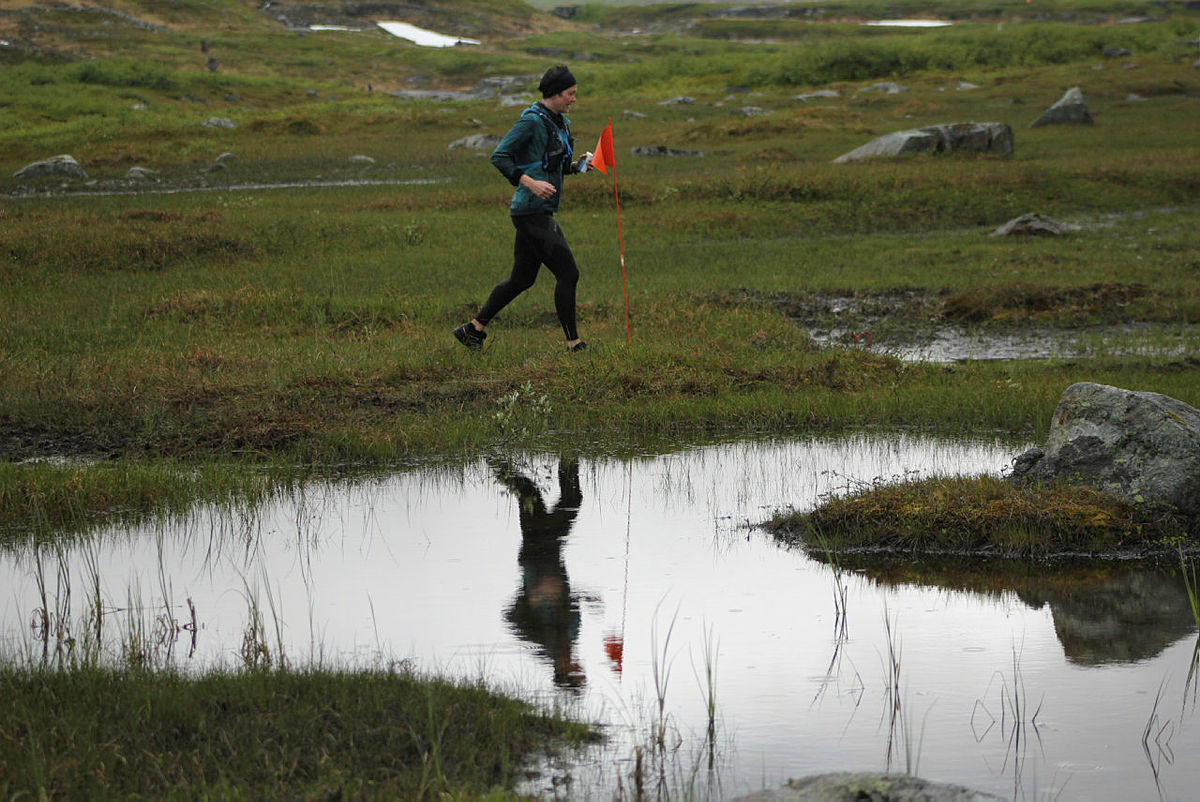 Fjellturløpet Børvasstindan Classic, 6. juli 2019
