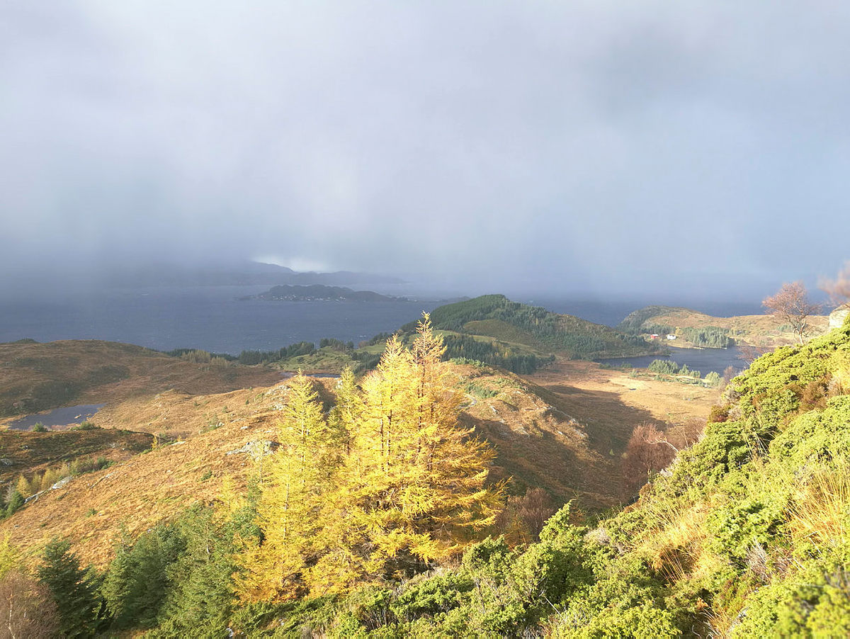 Tur til Skjolden