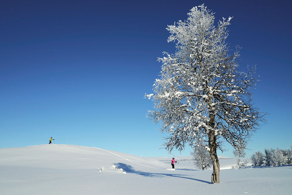 Vinter på Ringebufjellet, i området mellom Vetåbu og Djupslia.